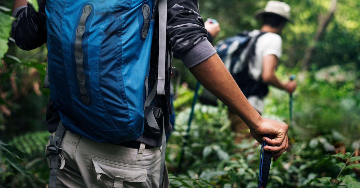 Using walking poles while hiking through the forest